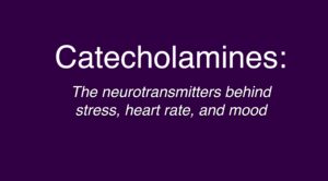 Learn about Catecholamines